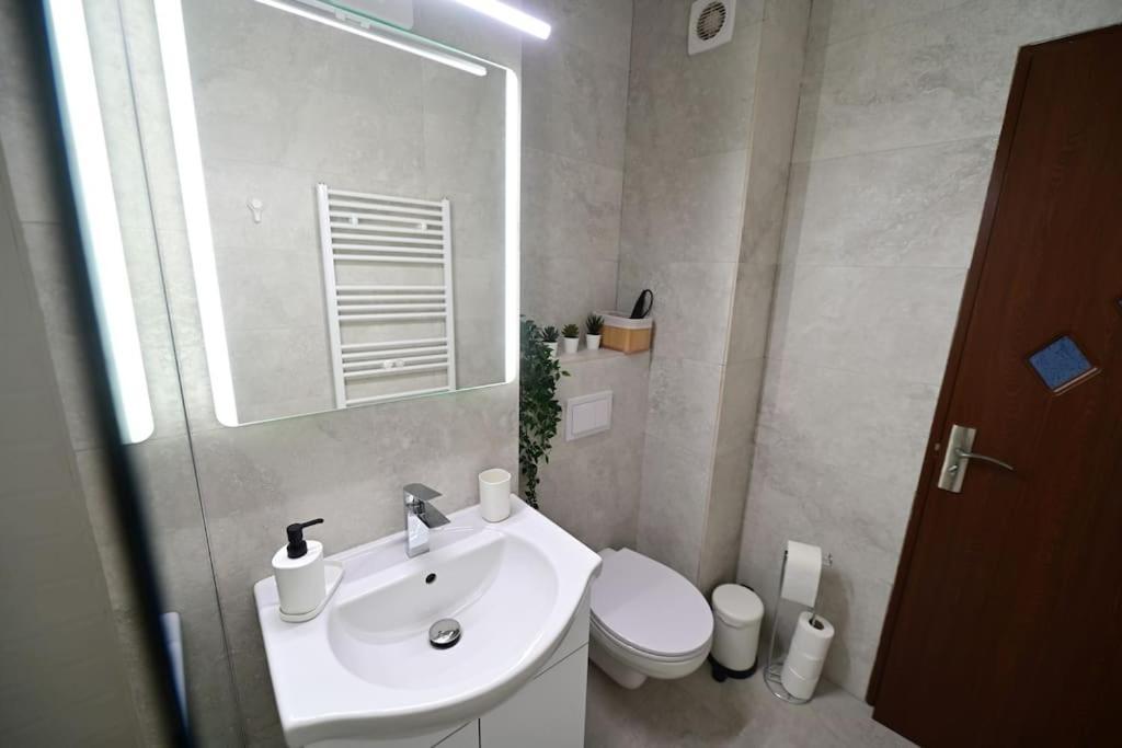 Flh - Apartament Damar Nagyszeben Kültér fotó