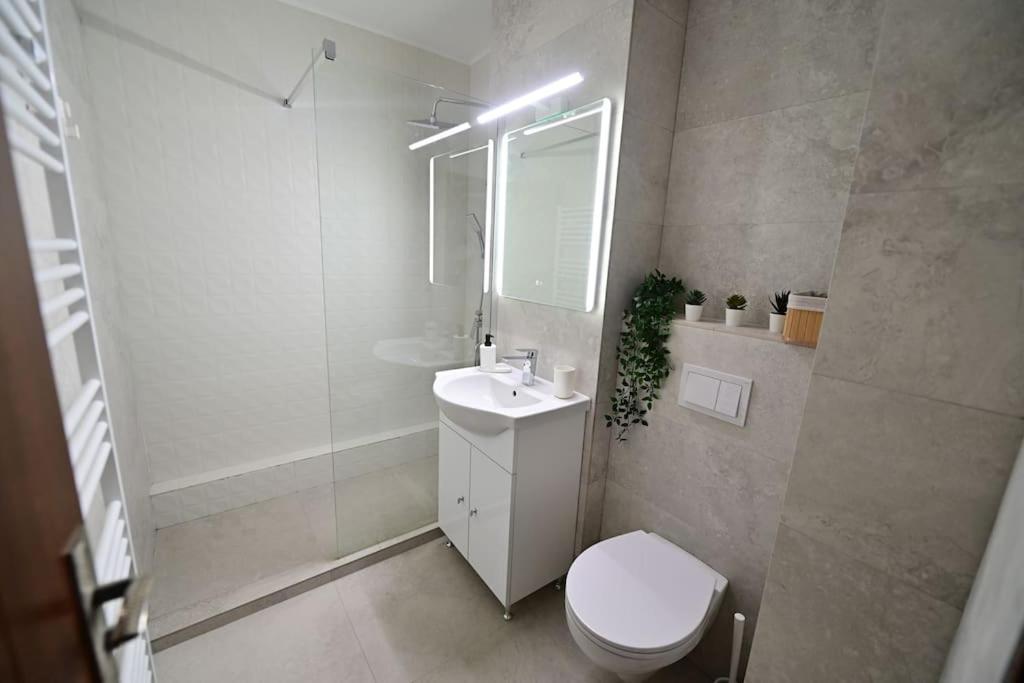 Flh - Apartament Damar Nagyszeben Kültér fotó