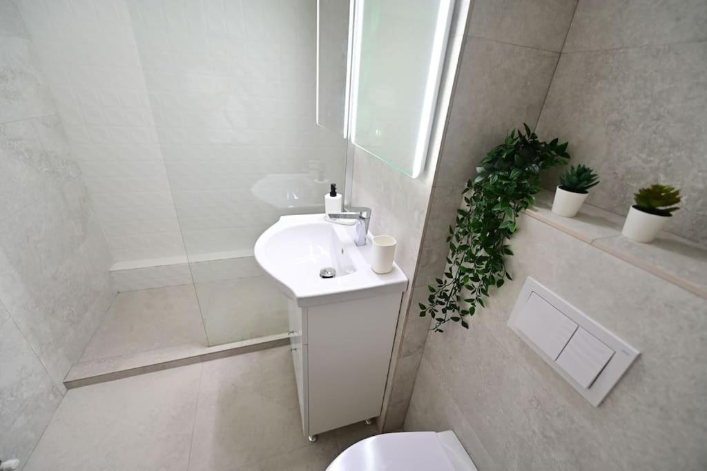 Flh - Apartament Damar Nagyszeben Kültér fotó